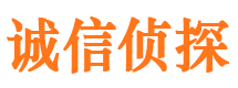 新津市调查公司